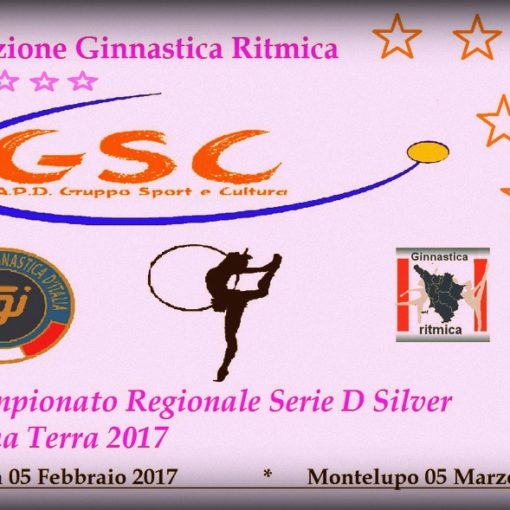 Serie D 2017